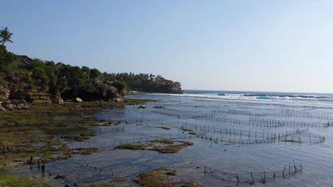 10617674_854105621295737_1368929454_n