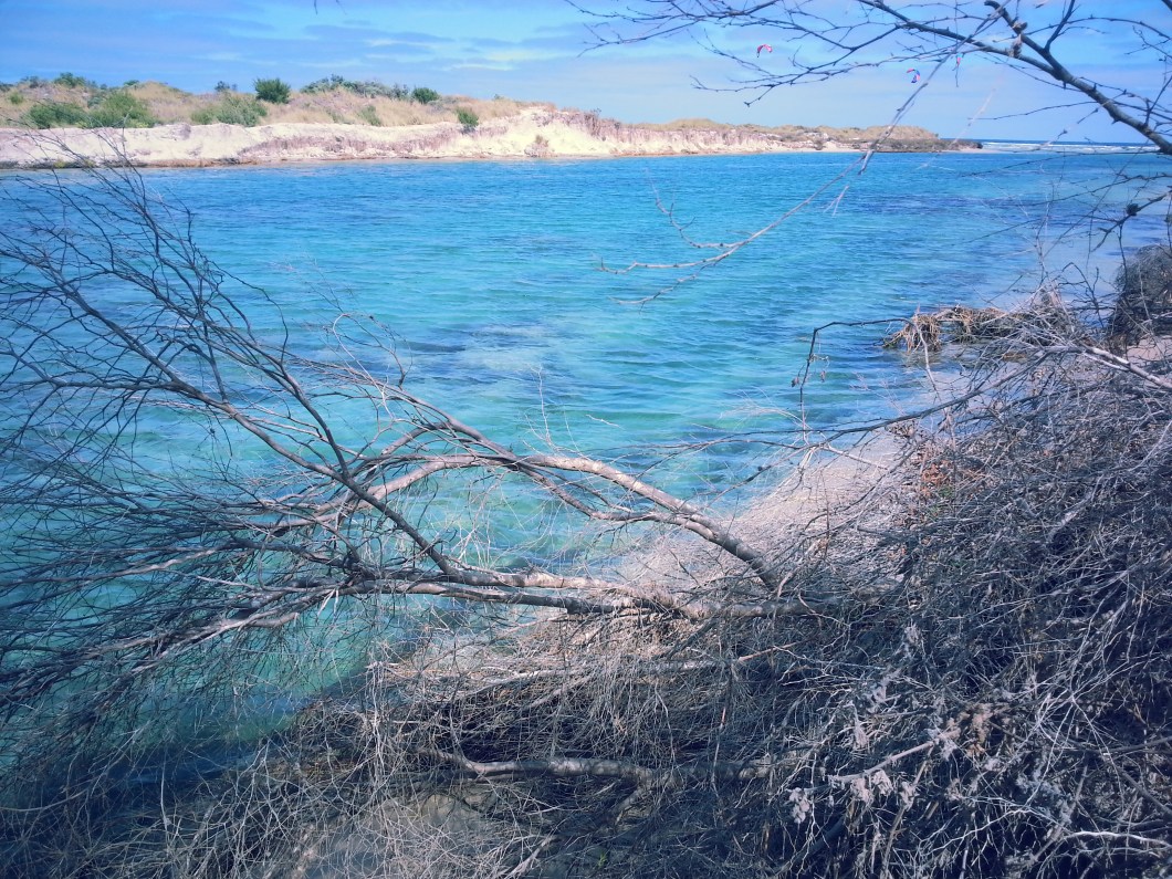 magnifiques plages de l australie
