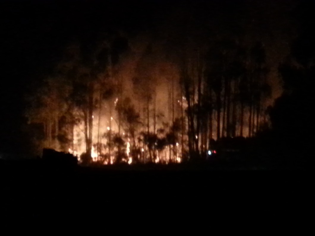 stressful bushfire