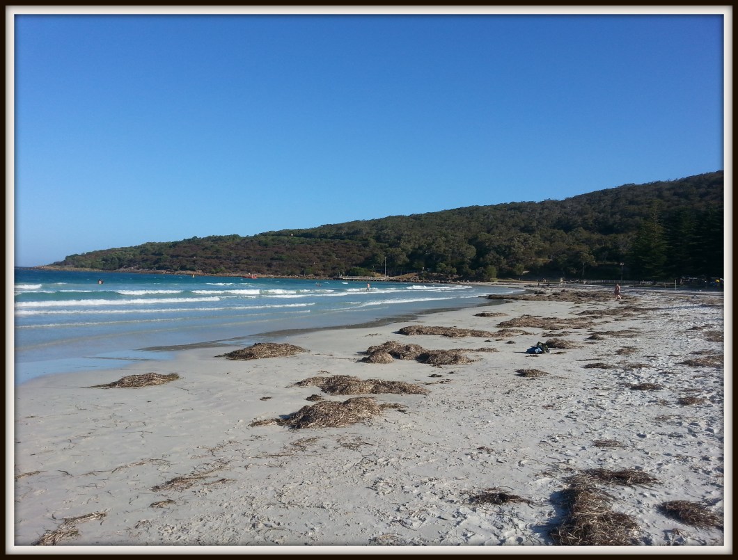 Middleton Beach Albany