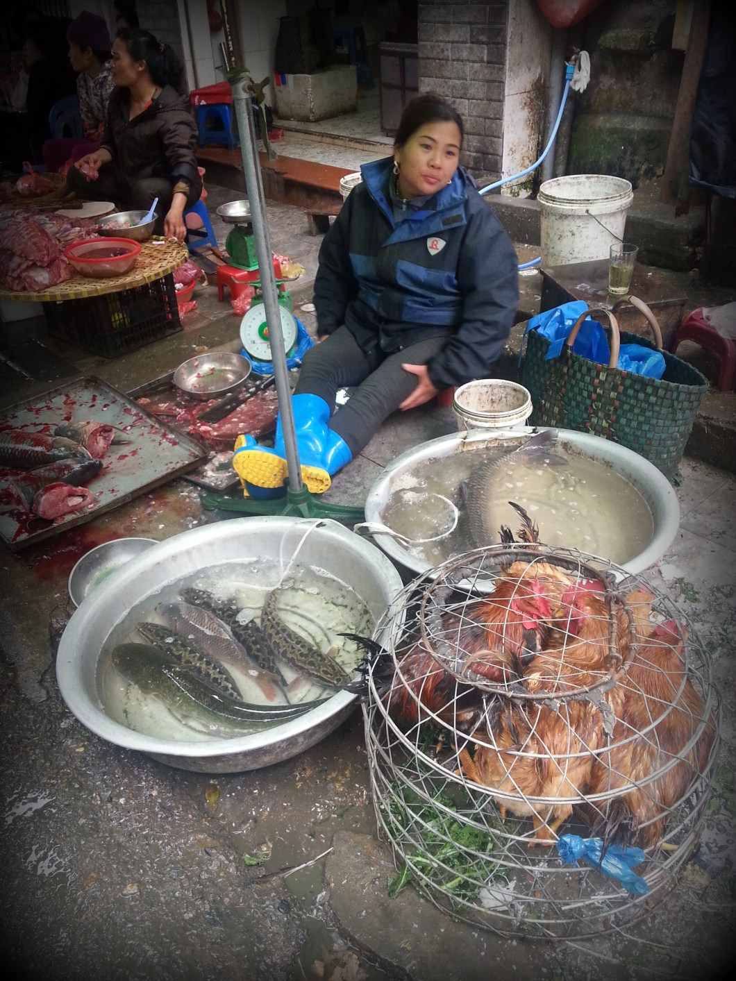 Hanoi Bridge Vietnam