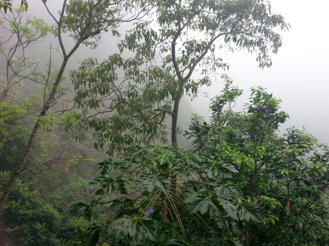 Perfume Pagoda Vietnam