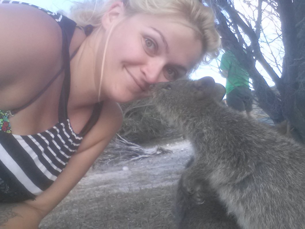 selfie quokka