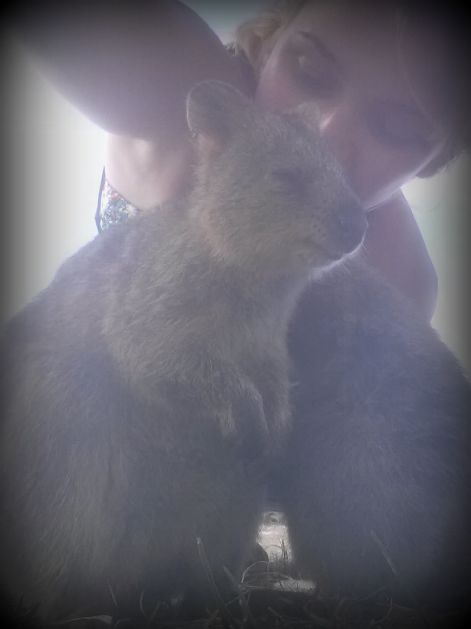 happiest animal en earth