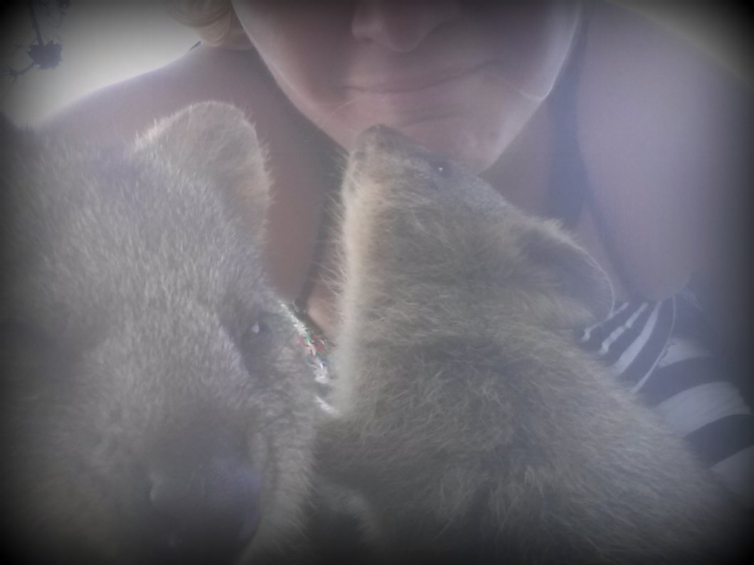 happiest animal en earth