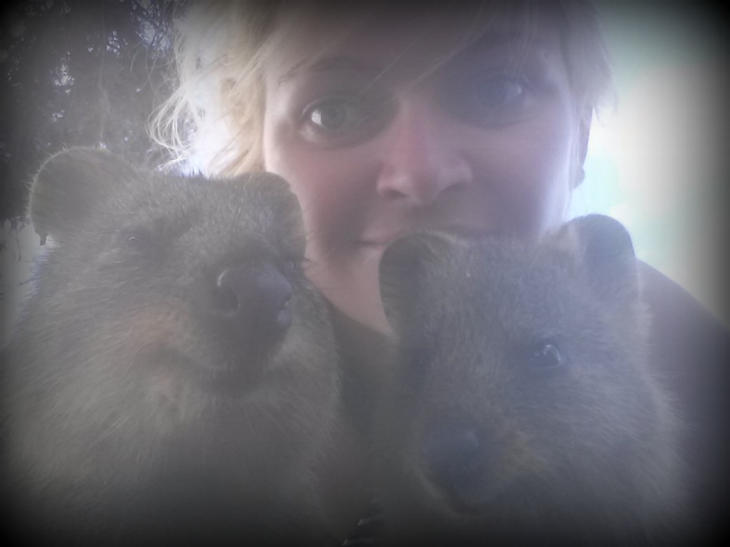 happiest animal en earth