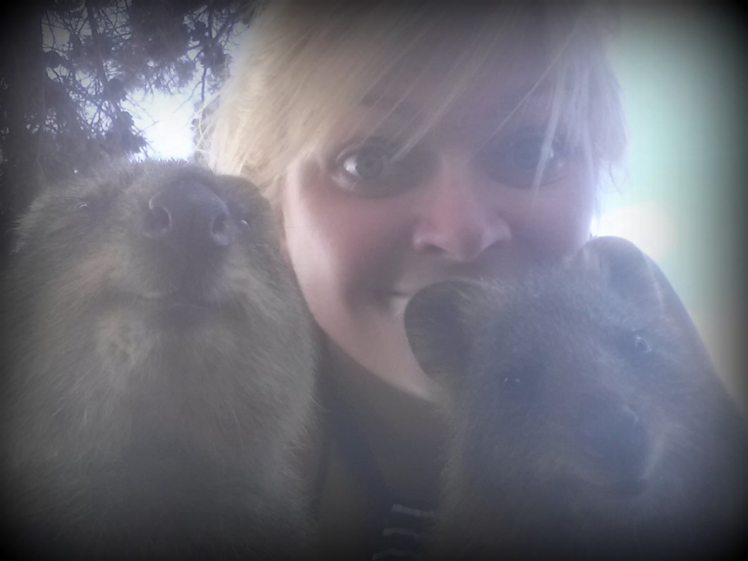 happiest animal en earth