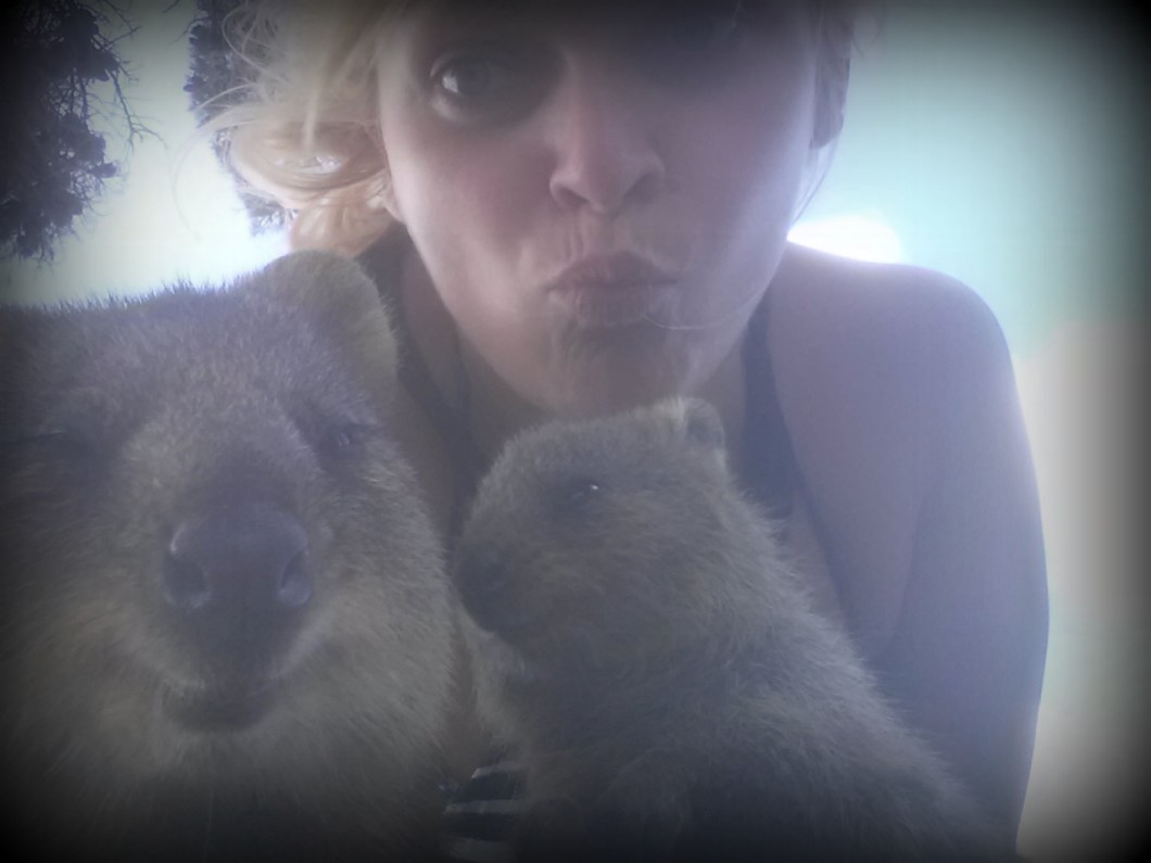 selfie quokka