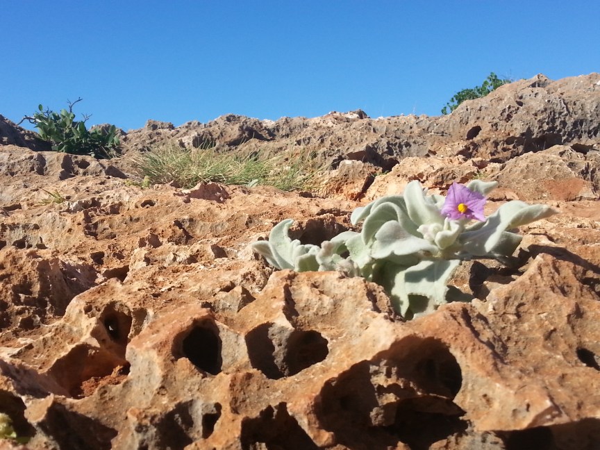 Cape Range National Park
