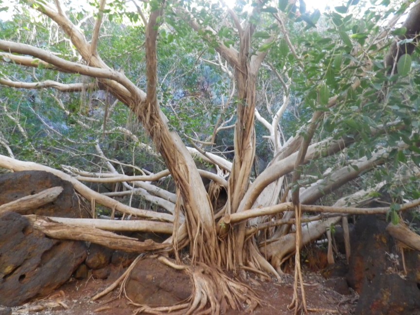 Karijini National Park