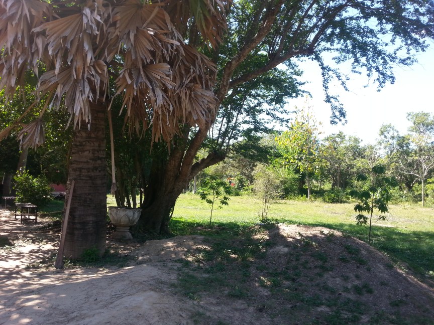 Killing Fields Champs de la Mort