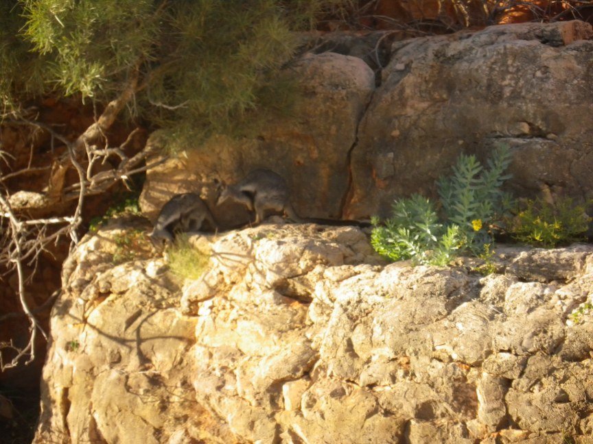 Cape Range National Park