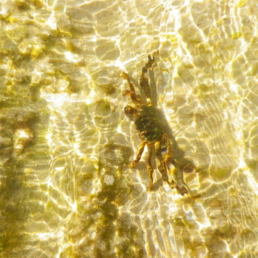 Cape Range National Park