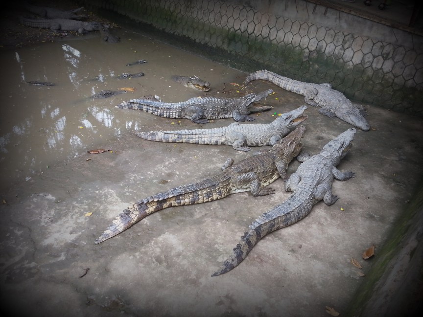 mekong delta vietnam