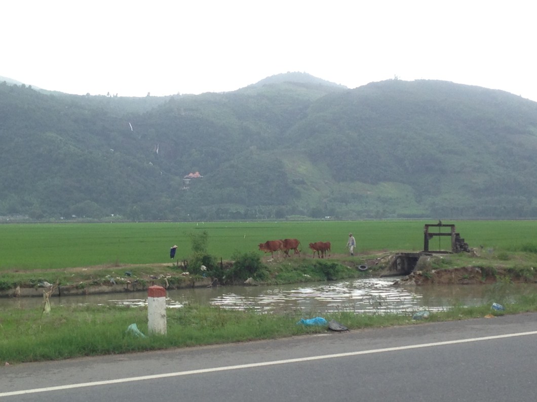on the road in Vietnam